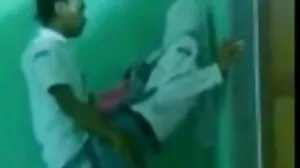 டிட்ஸ் மற்றும் ரோஜாக்கள்