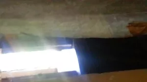 நடாஷா நைஸின் பிரேக்டவுன் ப்ளோஜாப்