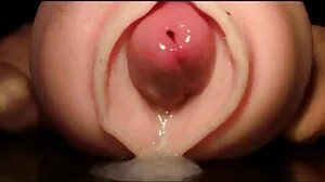 கிளாசிக் சீட்டர்ஸ் ஸ்விட்ச்சரூ w அன்யா ஓல்சென்