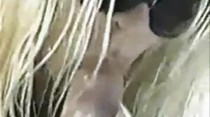 ரெனீ மடோக்ஸ்